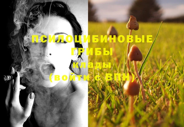 COCAINE Абаза