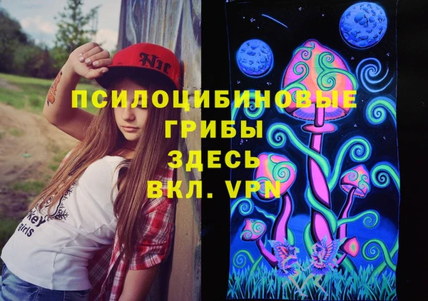 шишки Алексин