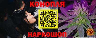 эйфоретик Гай
