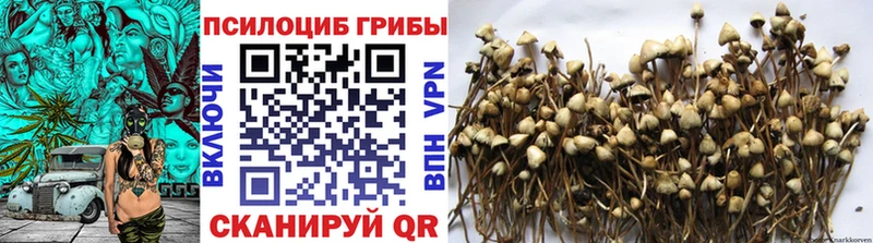 Псилоцибиновые грибы прущие грибы  Усолье-Сибирское 