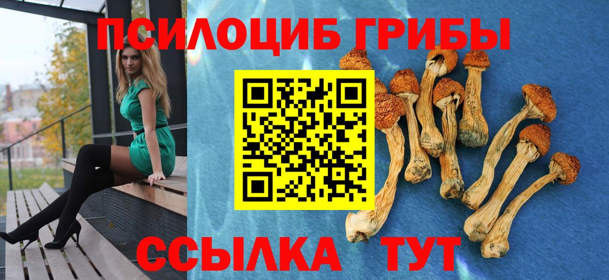 Псилоцибиновые грибы MAGIC MUSHROOMS Усолье-Сибирское